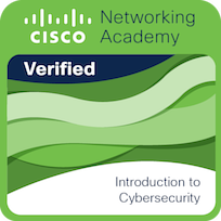 Insignia Introduction to Cybersecurity